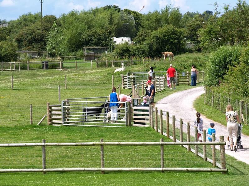 Animal Farm Country Park — venue for hire in Burnham-on-Sea