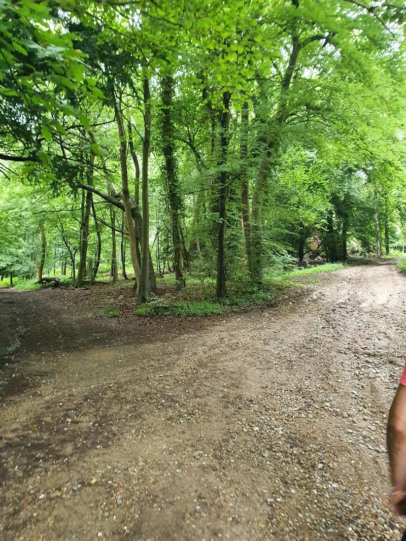 Bradenham Manor — venue for hire in High Wycombe