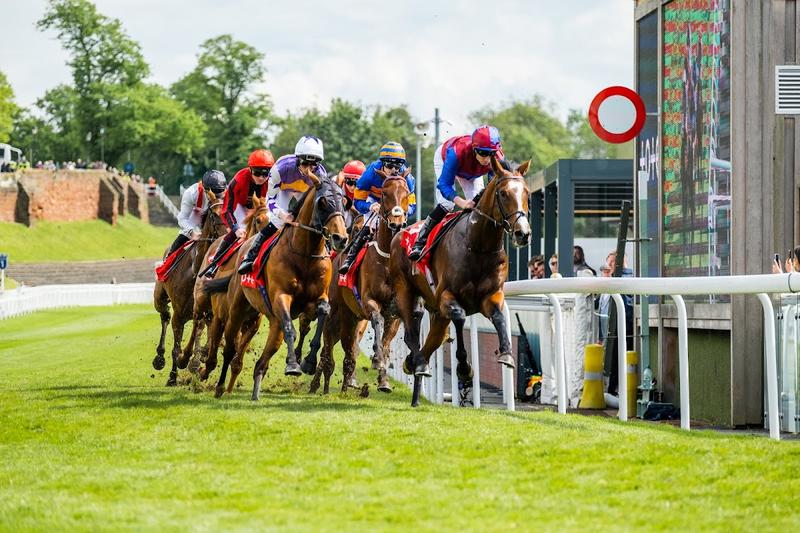 Chester Racecourse — venue for hire in Chester