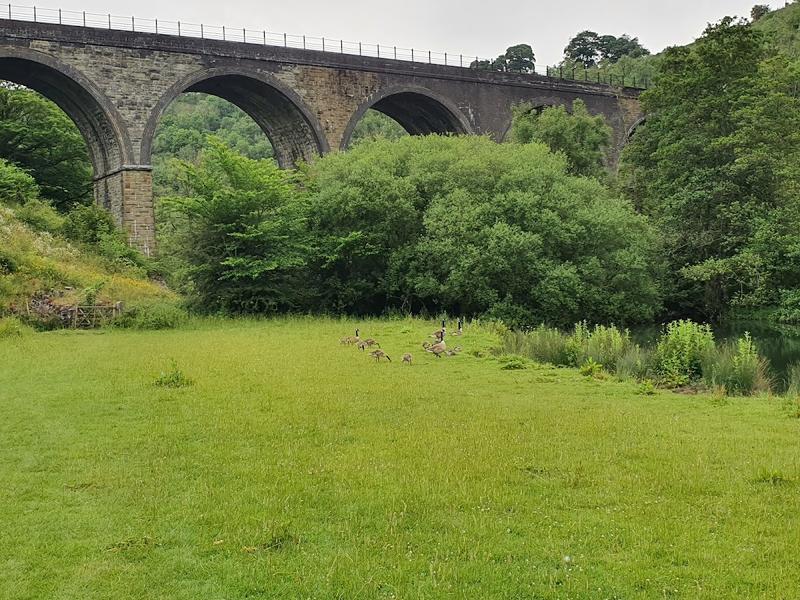 Cressbrook Hall — venue for hire in Buxton