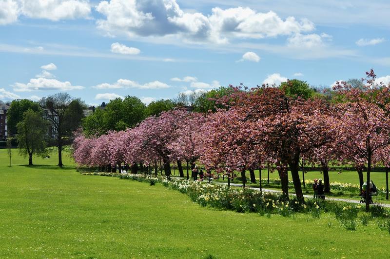 Cutlers on the Stray — venue for hire in Harrogate