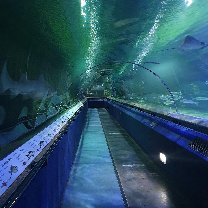 Deep Sea World — venue for hire in Inverkeithing