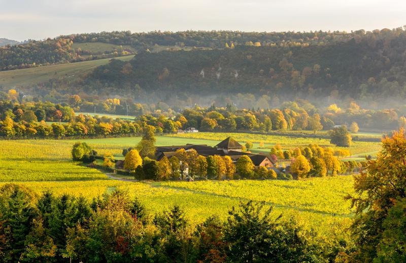 Denbies Wine Estate — venue for hire in Dorking