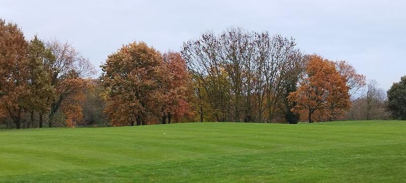 HQ Executive Offices - Stockley Park — venue for hire in Uxbridge