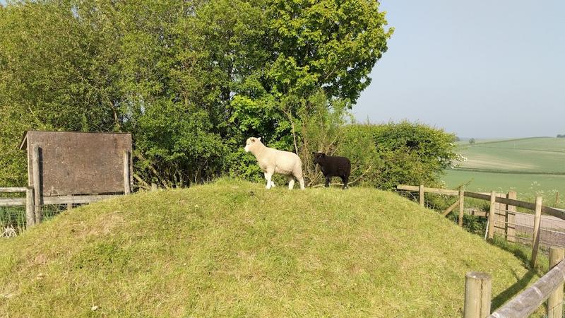 New Barn Field Centre — venue for hire in Dorchester