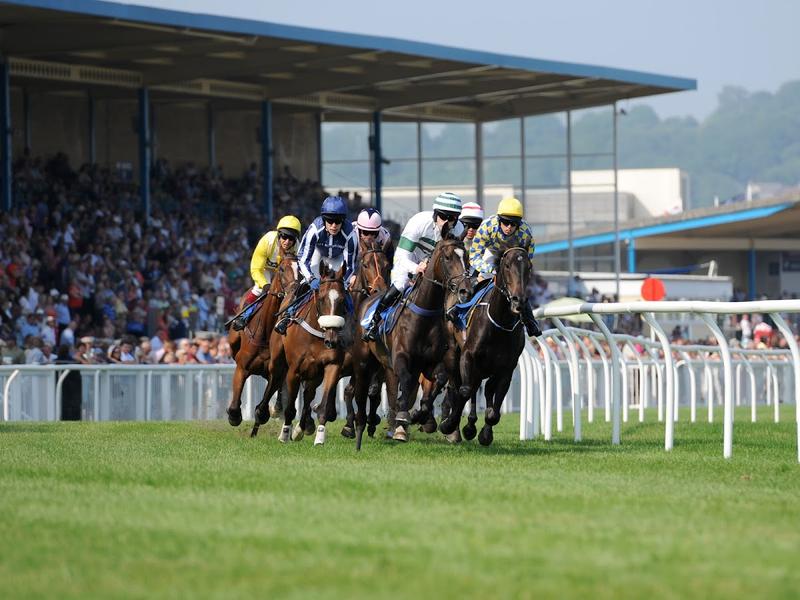 Newton Abbot Racecourse — venue for hire in Newton Abbot