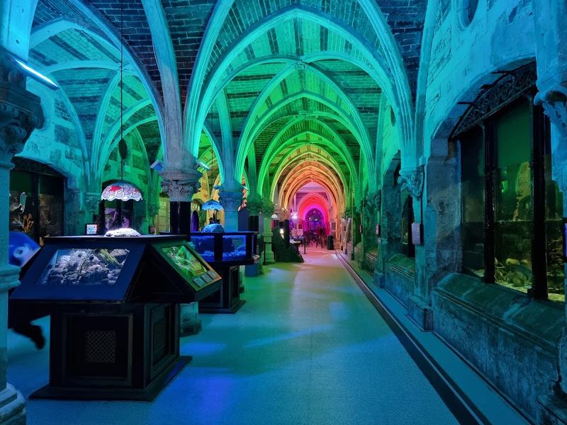SEA LIFE Brighton — venue for hire in Brighton