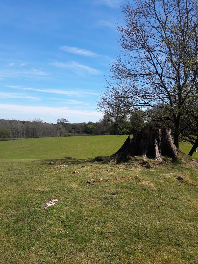 Sunningdale Park — venue for hire in Ascot