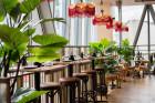 The Palm interior 3