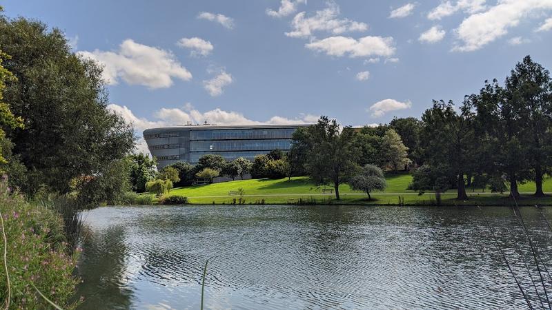 University of Surrey