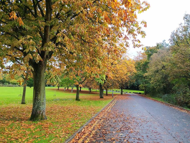 Ulster University Jordanstown Campus — venue for hire in Newtownabbey