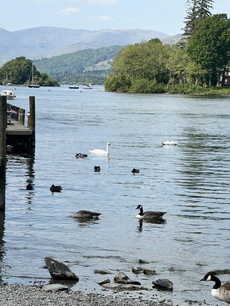 Windermere Lake Cruises — venue for hire in Windermere